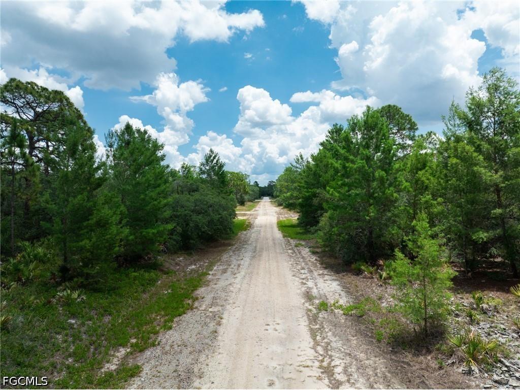 3238 Gossamer Avenue Lake Placid FL 33852 2026026179 image8