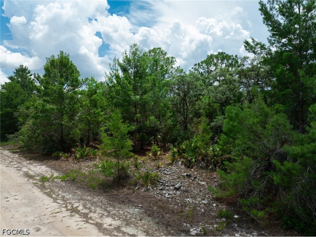 3238 Gossamer Avenue Lake Placid FL 33852 2026026179 image9