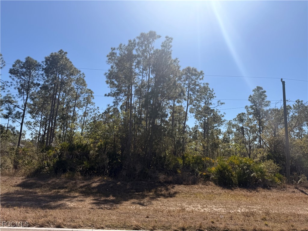 325/327 Greenbriar Boulevard Lehigh Acres FL 33972 2026006086 image3