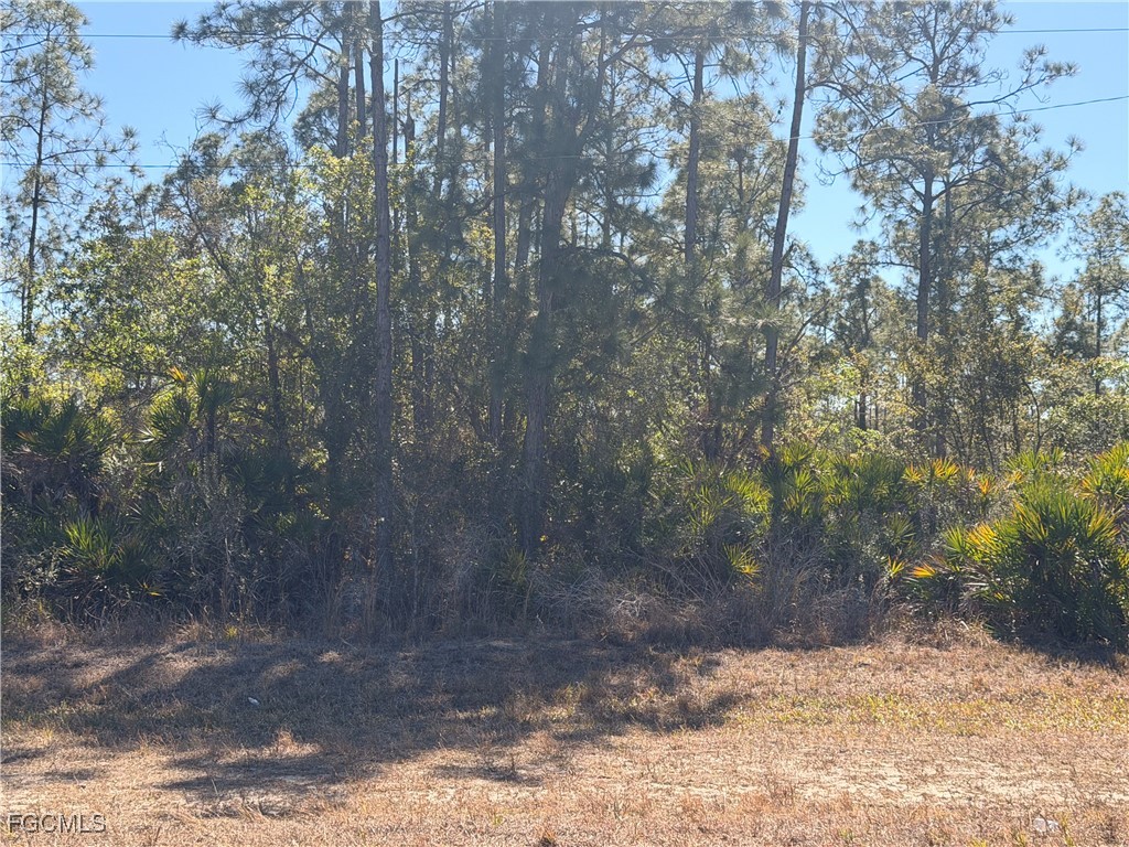 325/327 Greenbriar Boulevard Lehigh Acres FL 33972 2026006086 image4