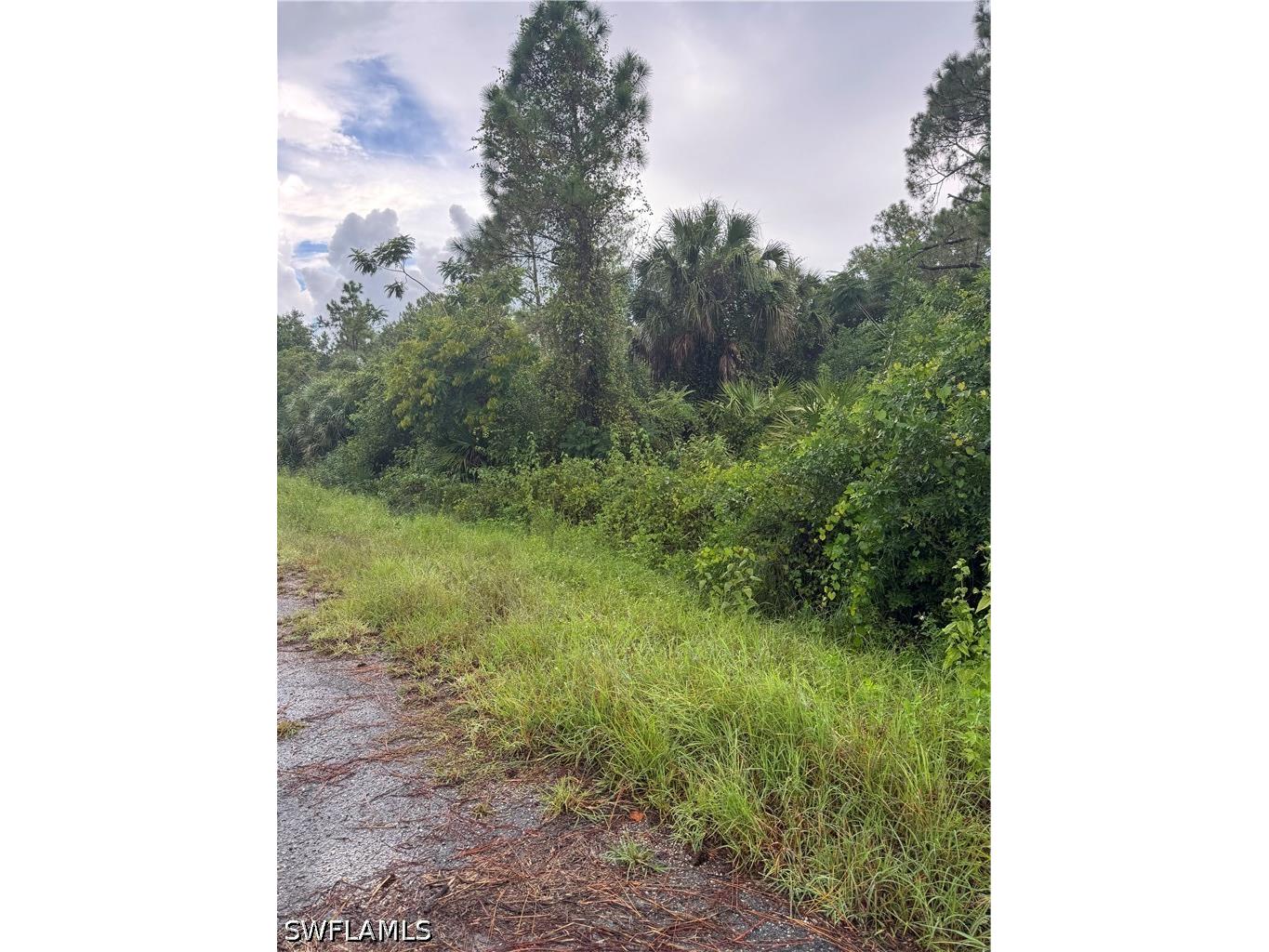 325 Irving Avenue Lehigh Acres FL 33936 226021798 image2