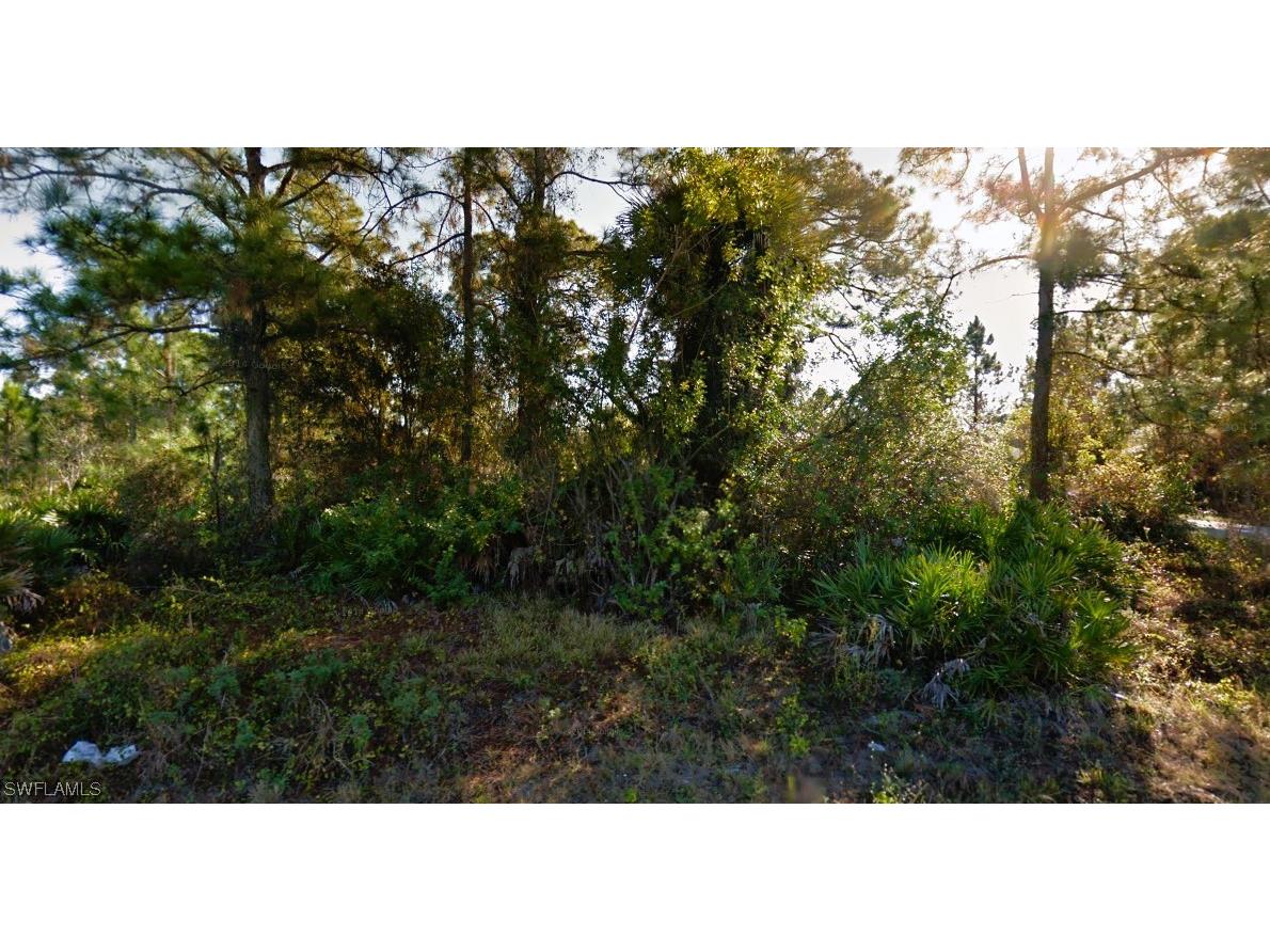 325 Leruth Avenue Lehigh Acres FL 33974 223039022 image1