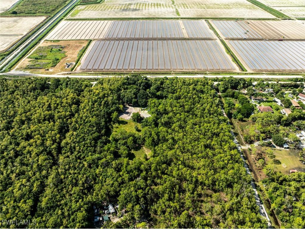 325 Sunnygrove Avenue Naples FL 34114 225067975 image4