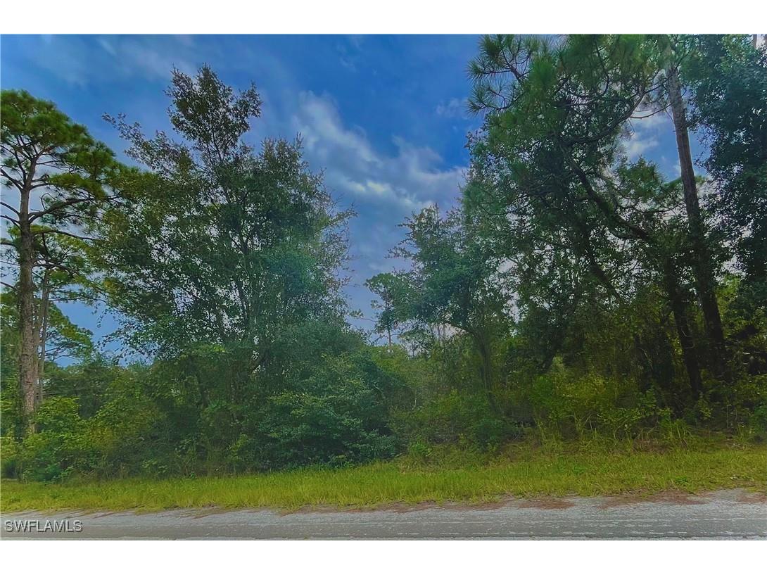 3262 Glen Springs Avenue Lake Placid FL 33852 224087604 image1