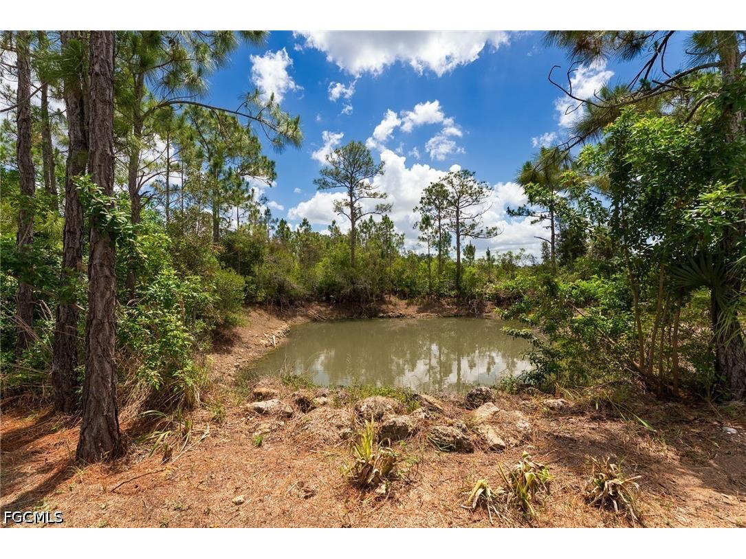 32706 Oil Well Road Punta Gorda FL 33955 2026022639 image30