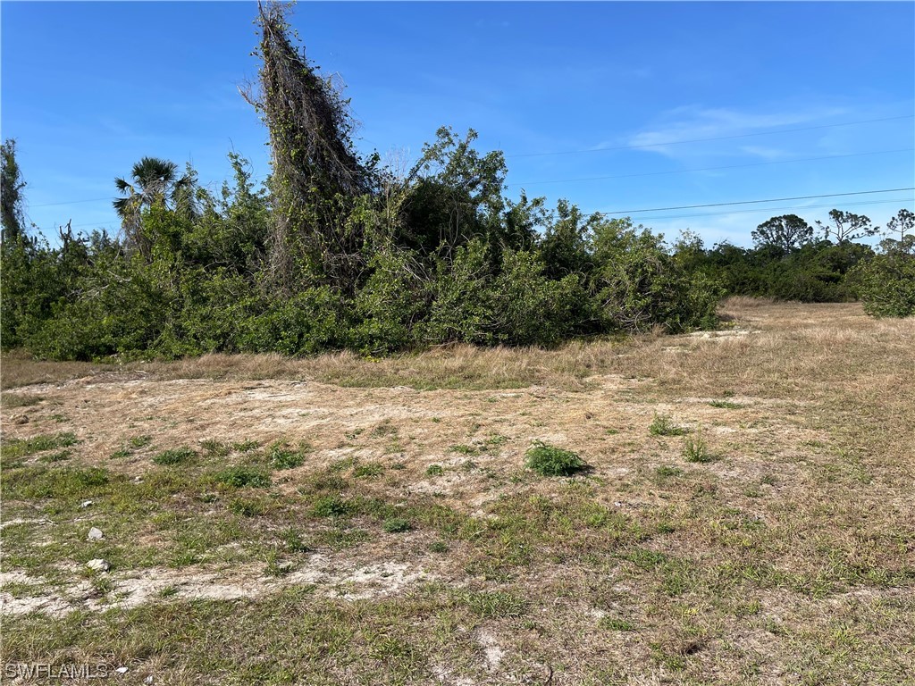 328 NE 30th Terrace Cape Coral FL 33909 223016512 image1
