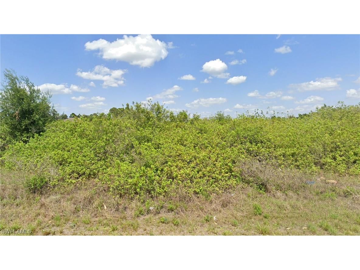 329 Pinehurst Avenue Lehigh Acres FL 33974 223036972 image1