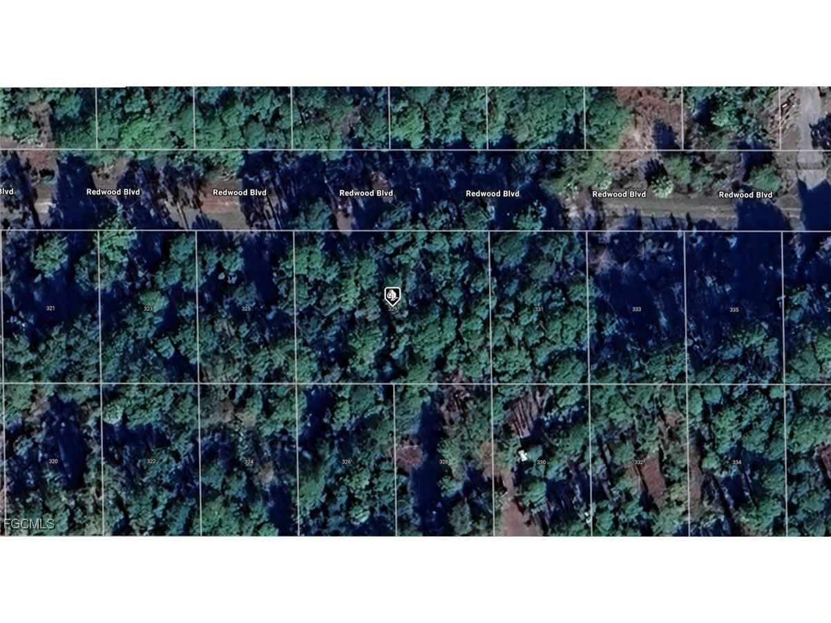 329 Redwood Boulevard Georgetown FL 32139 2025018968 image1