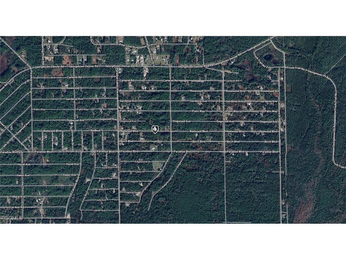 329 Redwood Boulevard Georgetown FL 32139 2025018968 image3