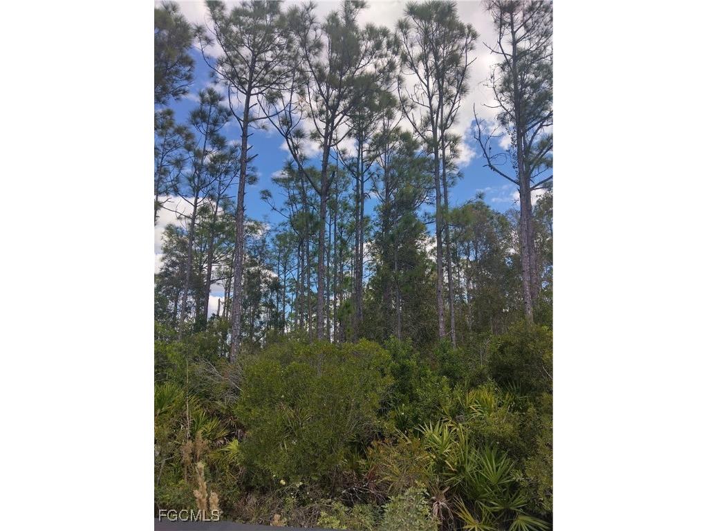 32910 Oil Well Road Punta Gorda FL 33955 2025015066 image2