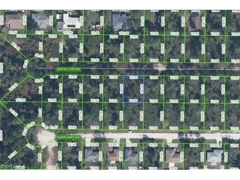 330 Caspian Tern Avenue Sebring FL 33872 223072925 image1