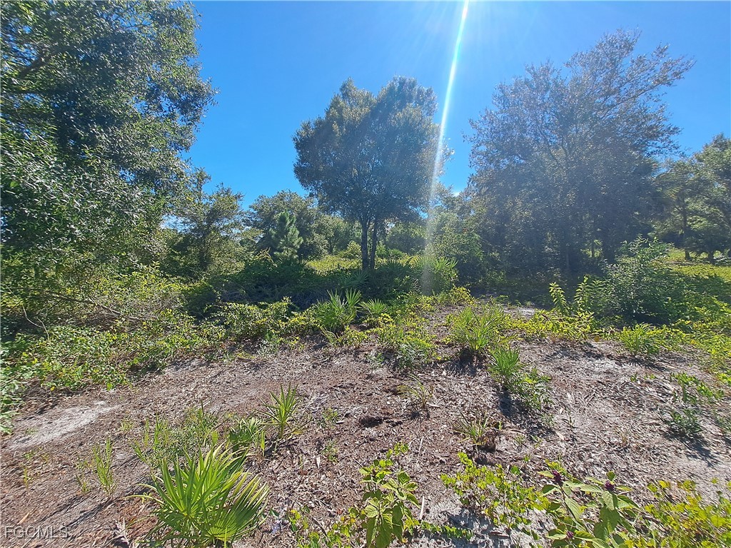 330 S Cabbage Palm Street Clewiston FL 33440 2025005695 image5