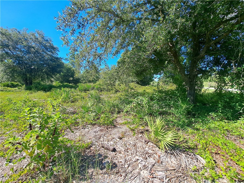 330 S Cabbage Palm Street Clewiston FL 33440 2025005695 image6