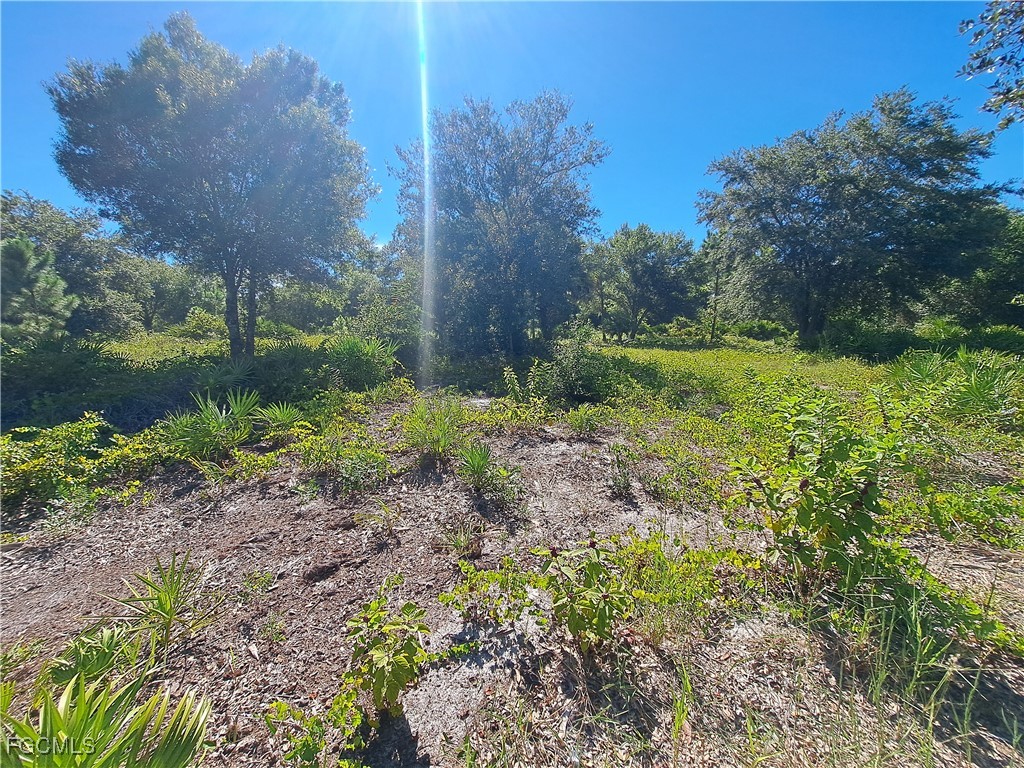 330 S Cabbage Palm Street Clewiston FL 33440 2025005695 image7