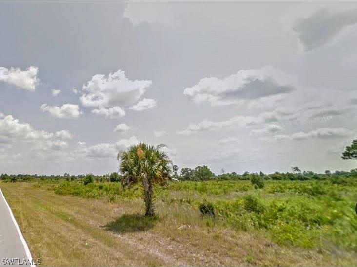 330 S Cabbage Palm Street Montura Ranches FL 33440 223029980 image1