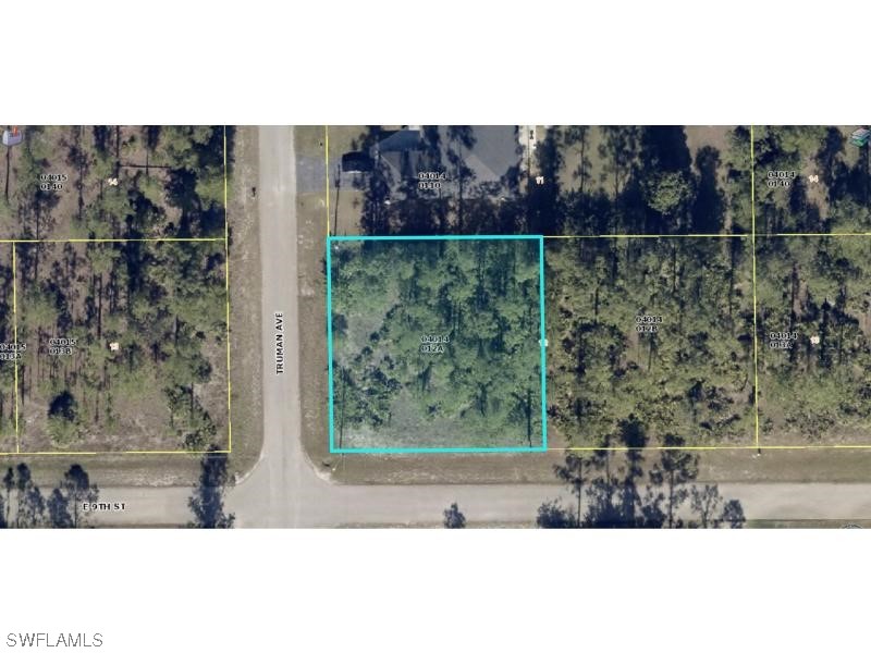 3301 E 9th Street Lehigh Acres FL 33972 224002972 image1