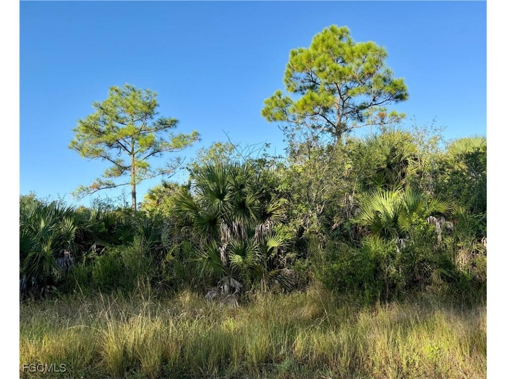 3301 Terry Avenue N Lehigh Acres FL 33971 2025017438 image1