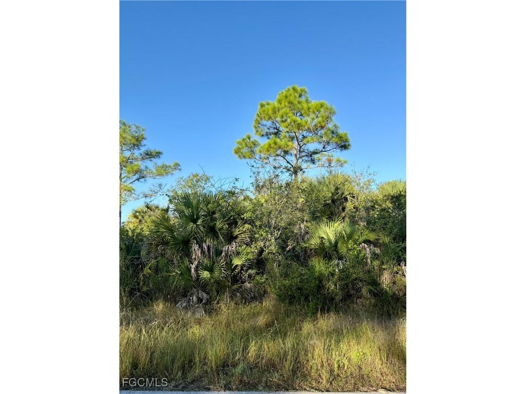 3301 Terry Avenue N Lehigh Acres FL 33971 2025017438 image2