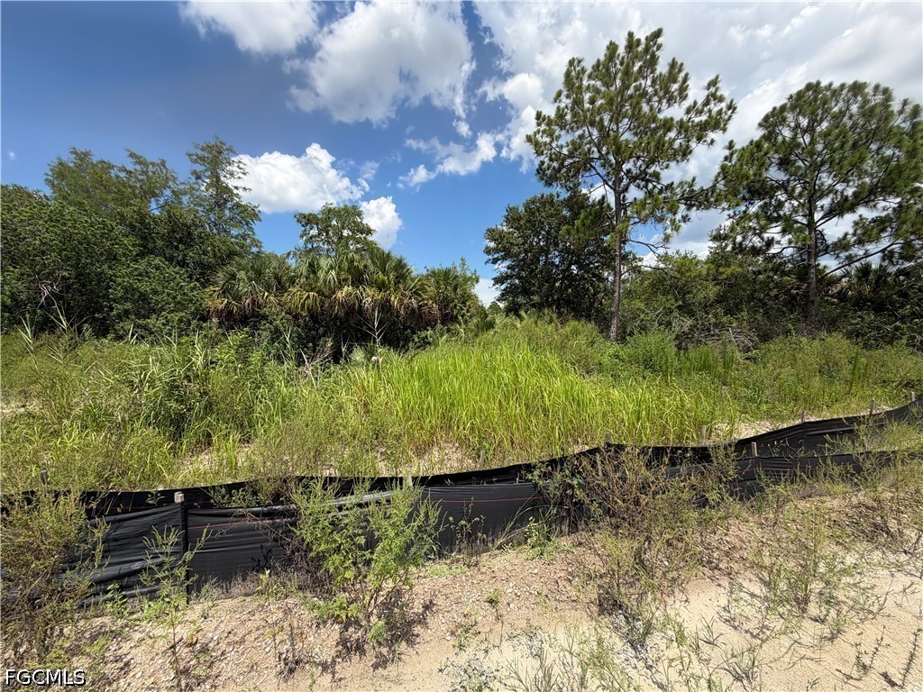 3301 Terry Avenue N Lehigh Acres FL 33971 2026029454 image10