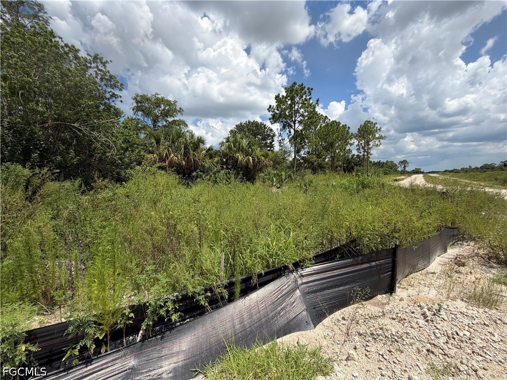 3301 Terry Avenue N Lehigh Acres FL 33971 2026029454 image14