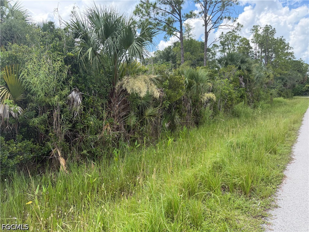 3301 Terry Avenue N Lehigh Acres FL 33971 2026029454 image6