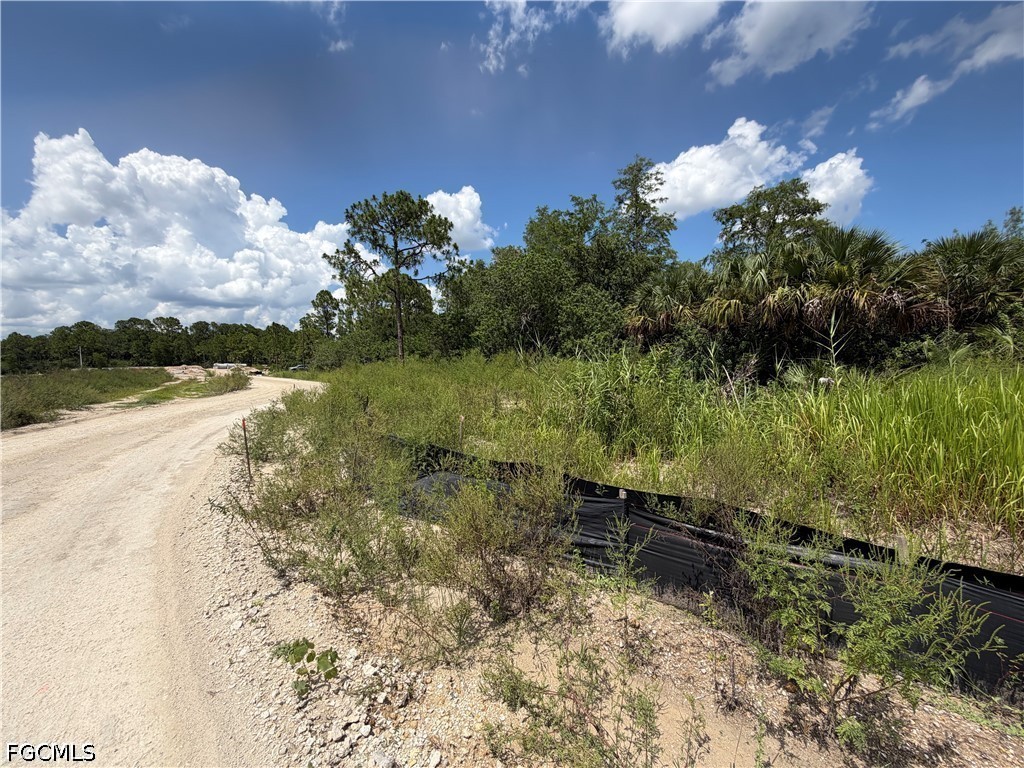 3301 Terry Avenue N Lehigh Acres FL 33971 2026029454 image9