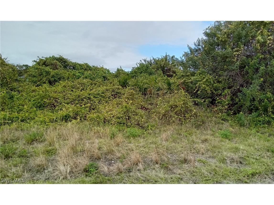 3302 11th Street SW Lehigh Acres FL 33976 224013248 image1