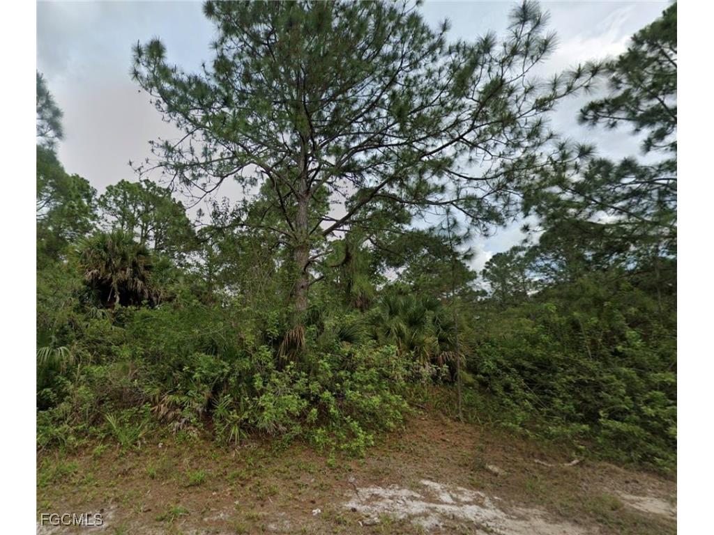 3302 Laura Avenue N Lehigh Acres FL 33971 2026001099 image1