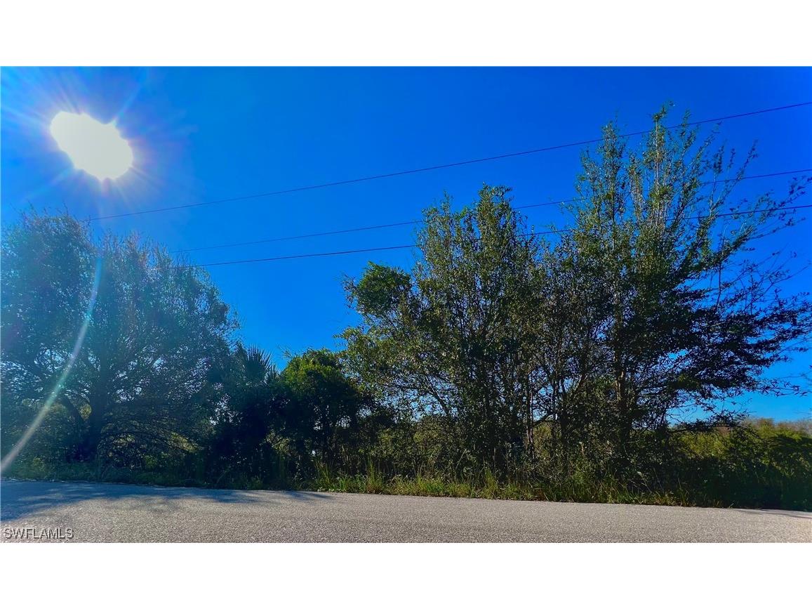 3303 27th Street SW Lehigh Acres FL 33976 223016209 image1