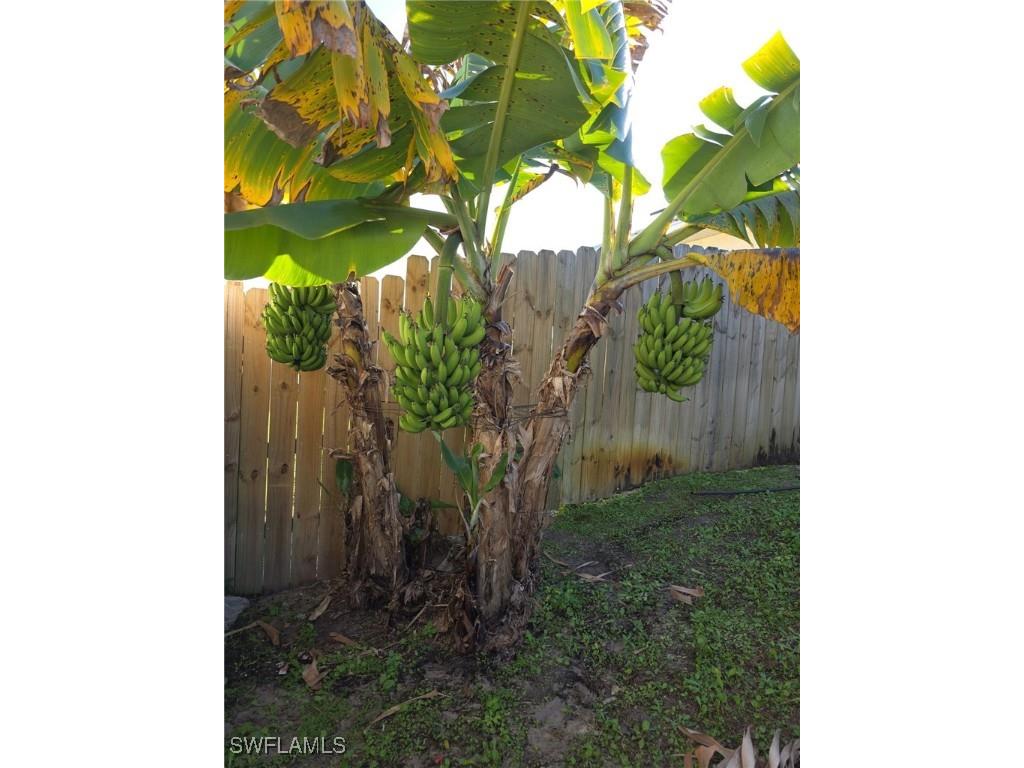 3303 32nd Street SW Lehigh Acres FL 33976 225078995 image33