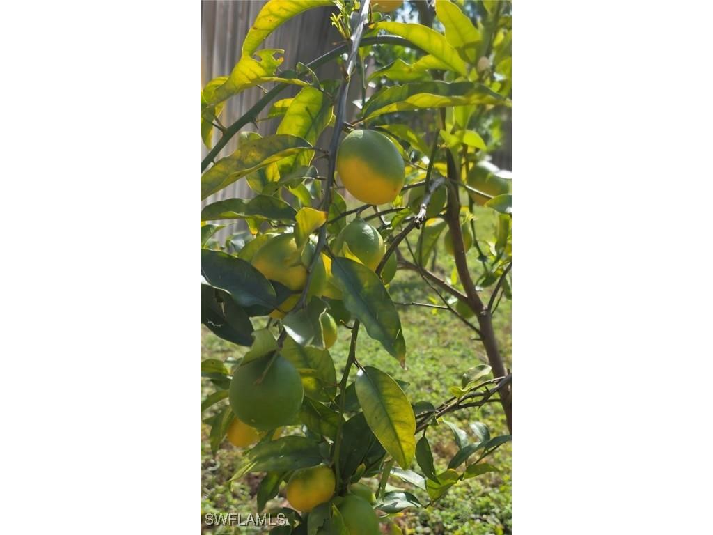 3303 32nd Street SW Lehigh Acres FL 33976 225078995 image34