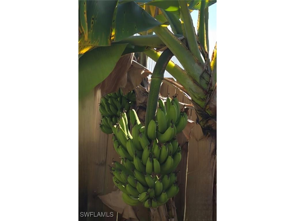 3303 32nd Street SW Lehigh Acres FL 33976 225078995 image35