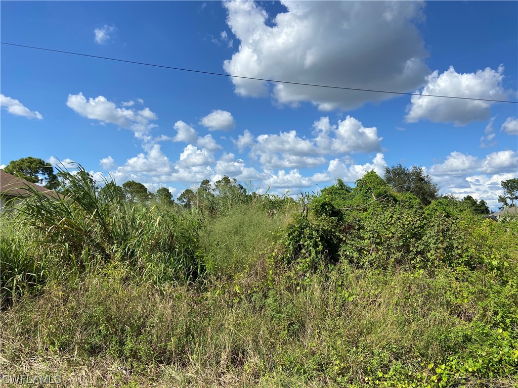 3304 18th Street SW Lehigh Acres FL 33976 223073574 image1