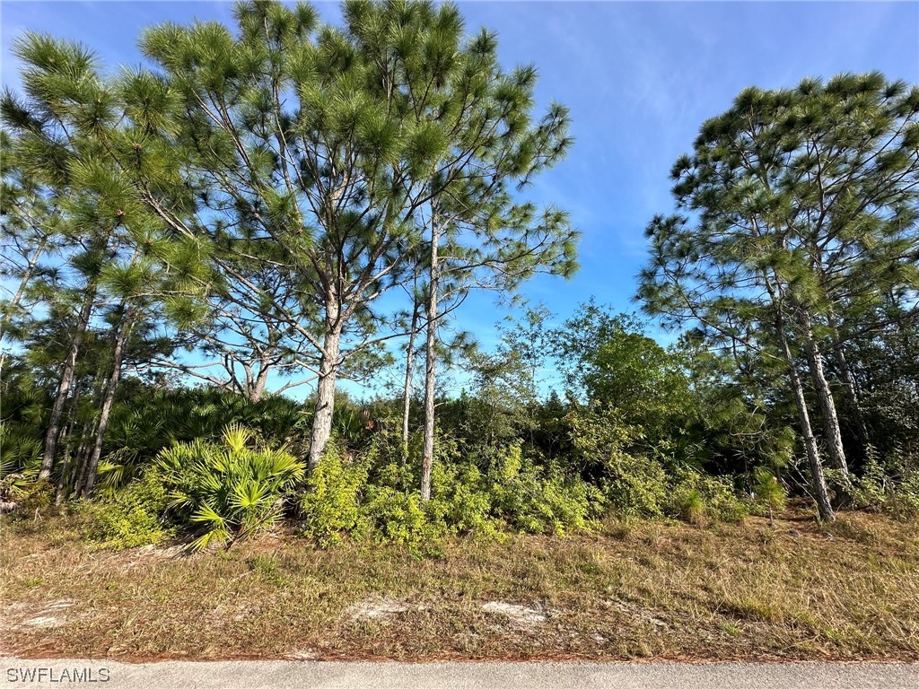 3304 39th Street W Lehigh Acres FL 33971 224011081 image1