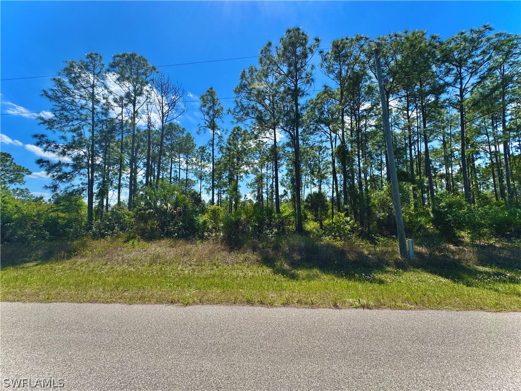 3305 43rd Street W Lehigh Acres FL 33971 224033193 image1