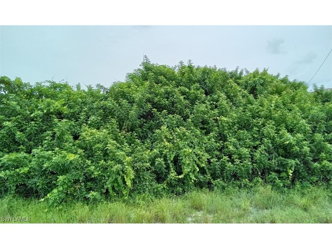 3306 11th Street SW Lehigh Acres FL 33976 223062034 image1