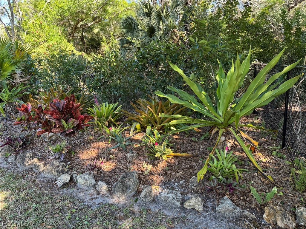 3307 Delilah Drive Cape Coral FL 33993 2026009902 image6