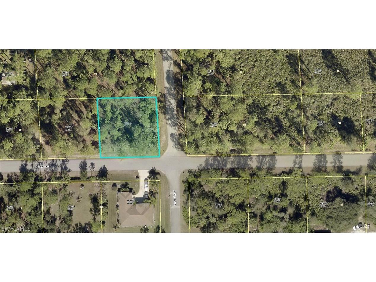 3307 E 21st Street Alva FL 33920 222048801 image1