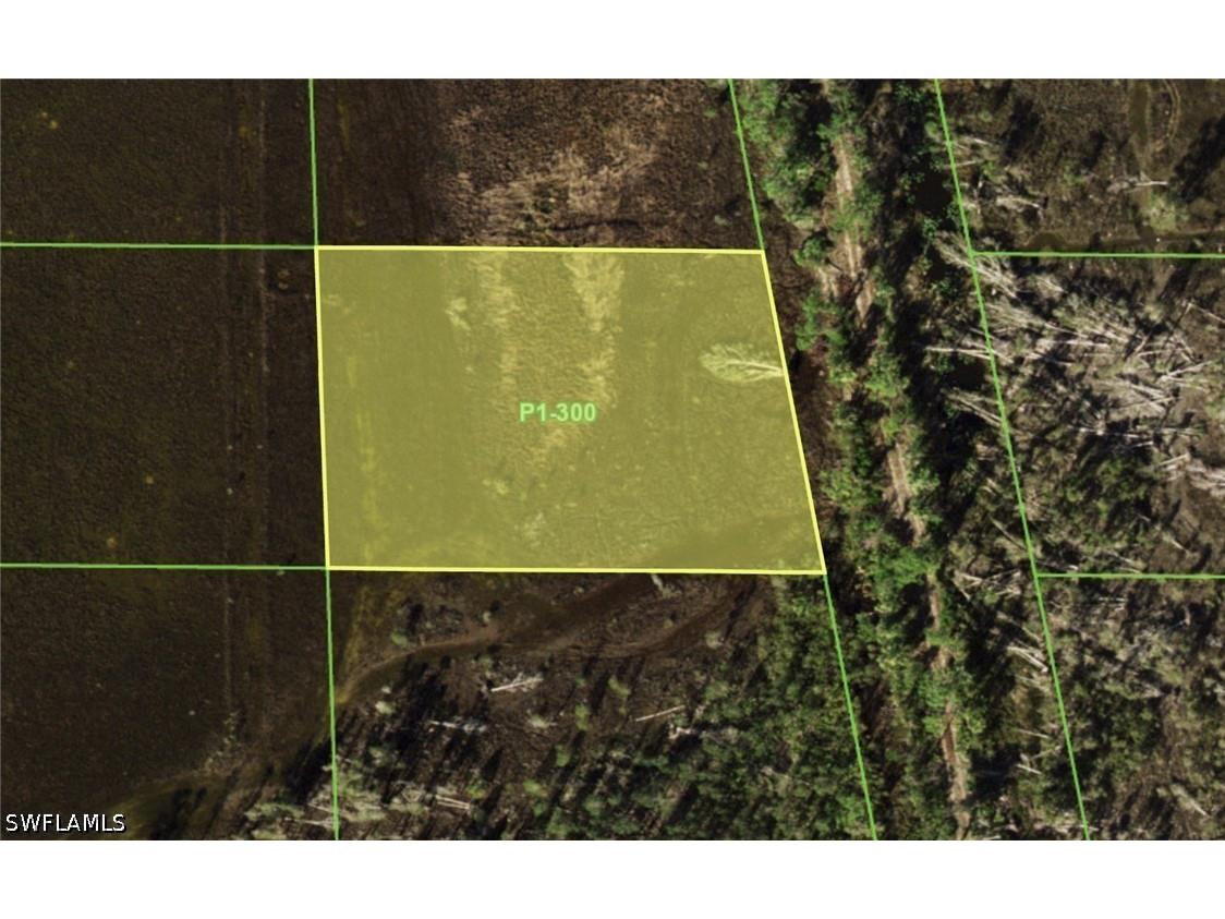 33072 Oil Well Road Punta Gorda FL 33955 226012972 image2