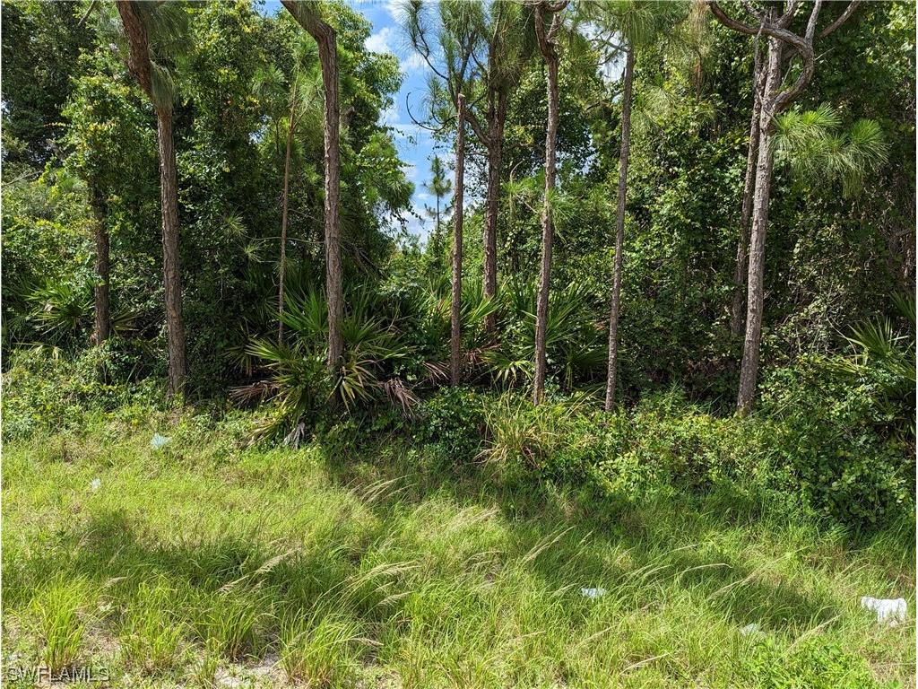 3308 18th Street W Lehigh Acres FL 33971 223040398 image1