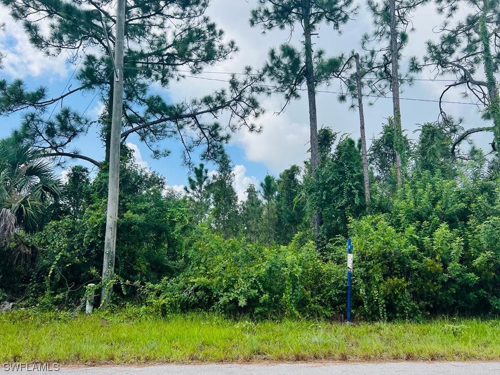 3311 58th Street W Lehigh Acres FL 33971 223058120 image1
