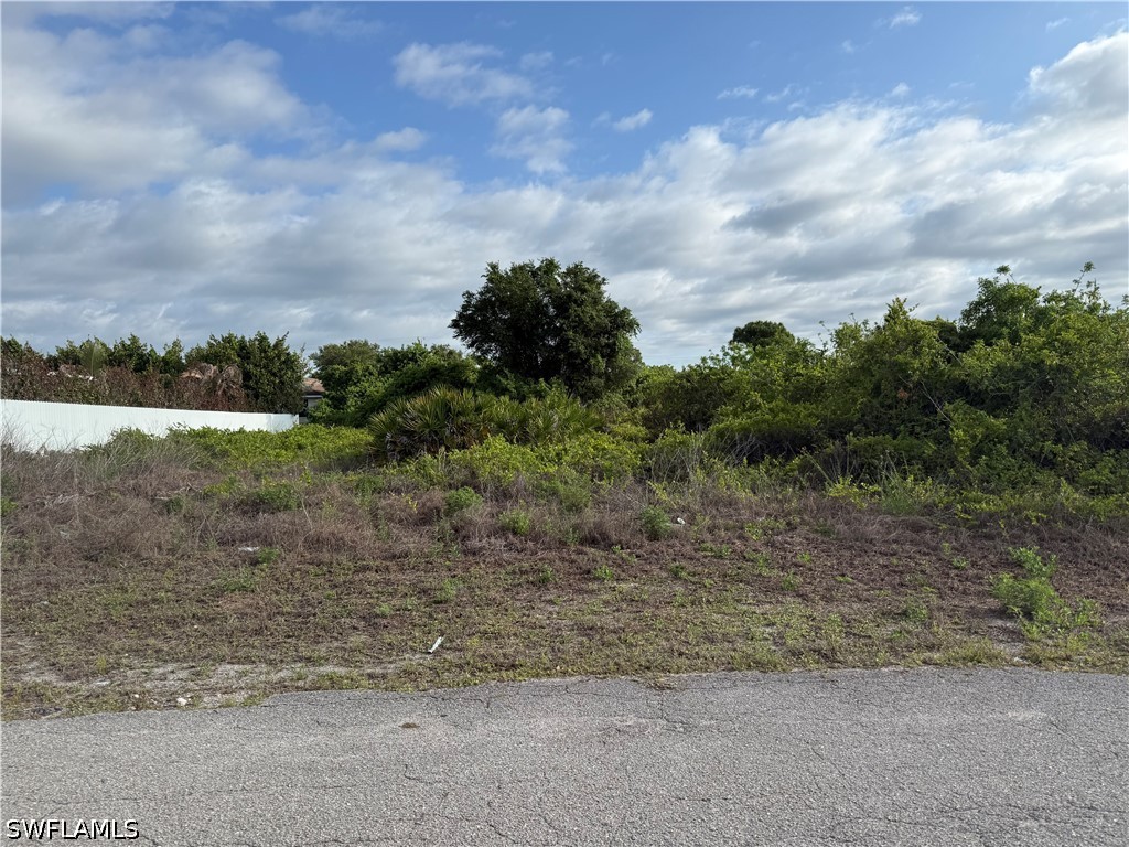 3312 2nd Street W Lehigh Acres FL 33971 226023258 image1