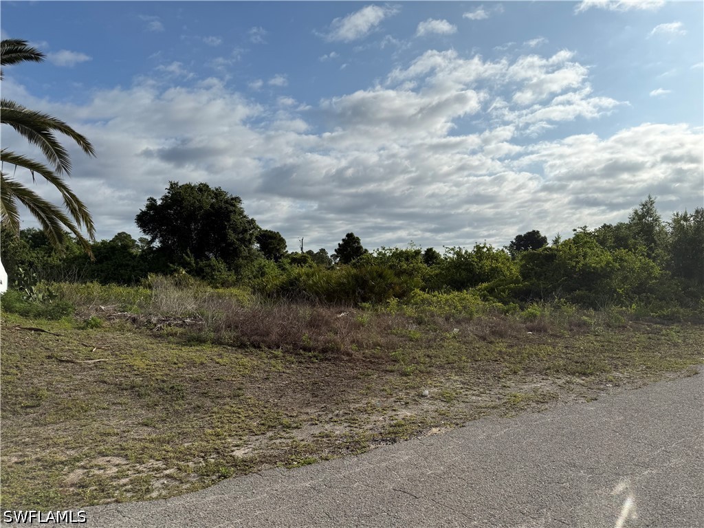 3312 2nd Street W Lehigh Acres FL 33971 226023258 image4