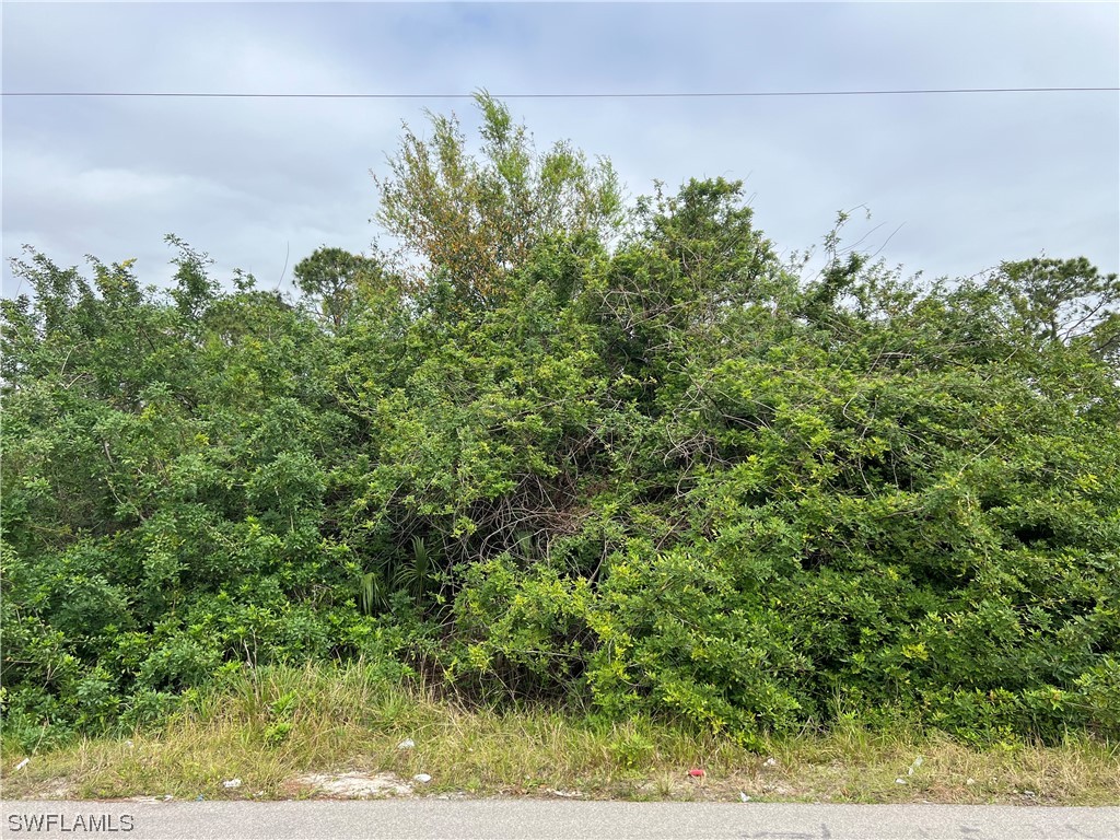3312 35th Street W Lehigh Acres FL 33971 223013664 image1