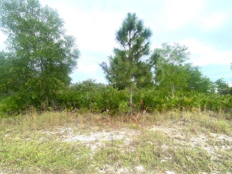 3314 8th Street W Lehigh Acres FL 33971 223086983 image1