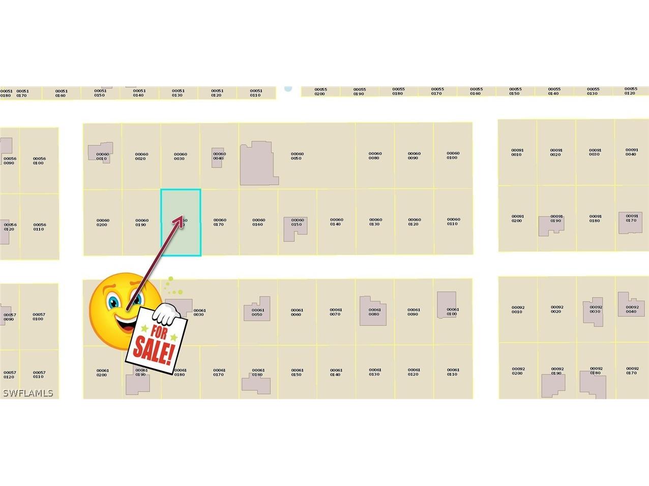 3314 9th Street SW Lehigh Acres FL 33976 222002543 image1