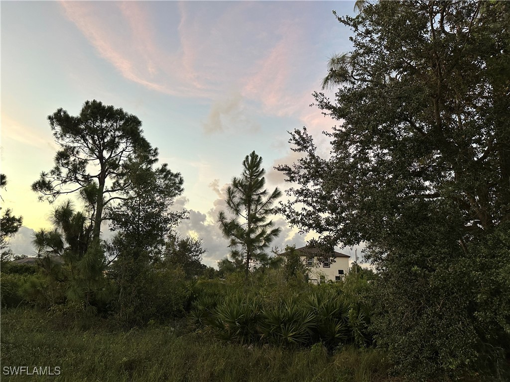 3316 10th Street W Lehigh Acres FL 33971 224064411 image1