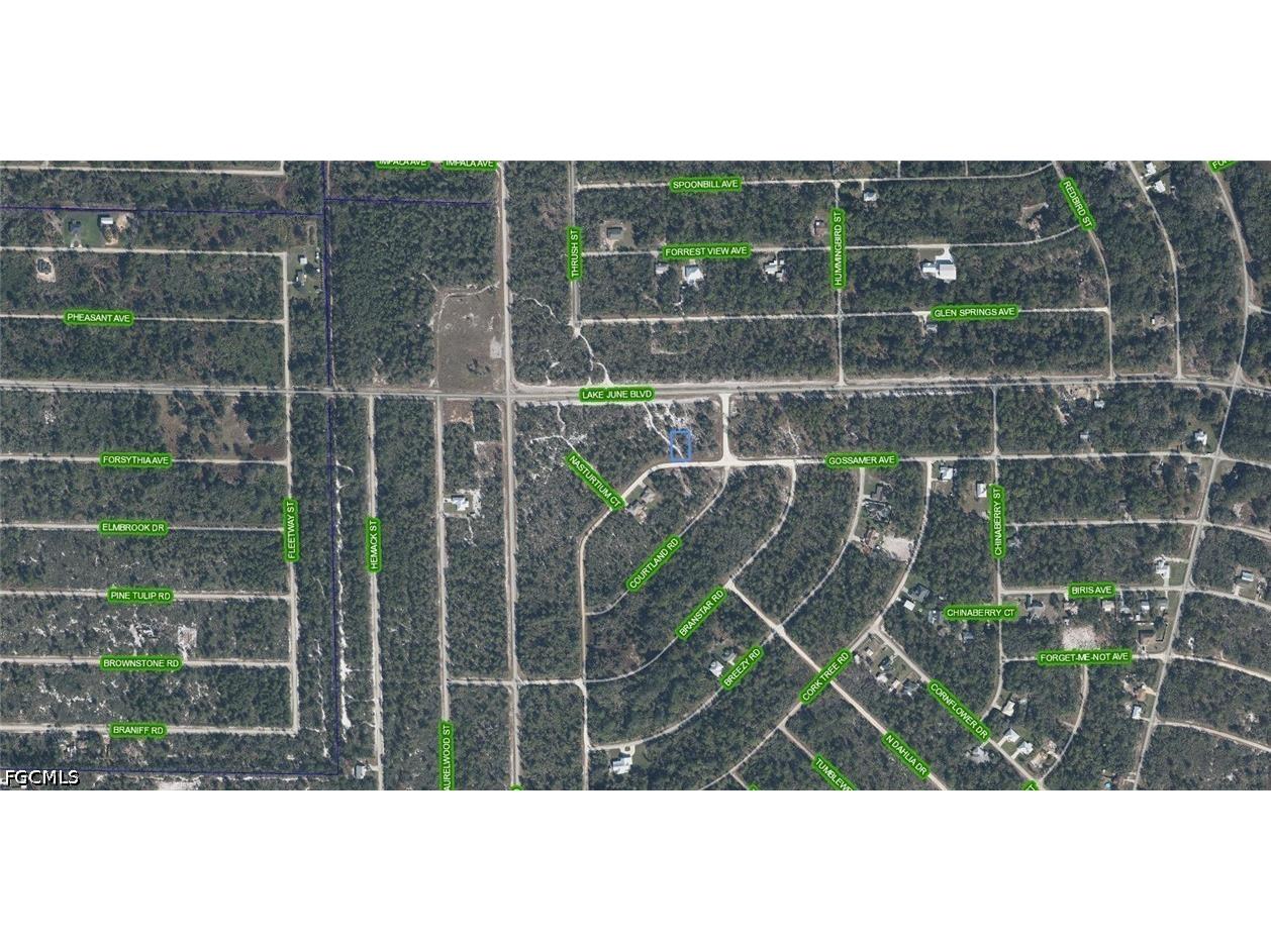 3324 Gossamer Avenue Lake Placid FL 33852 2026023895 image3