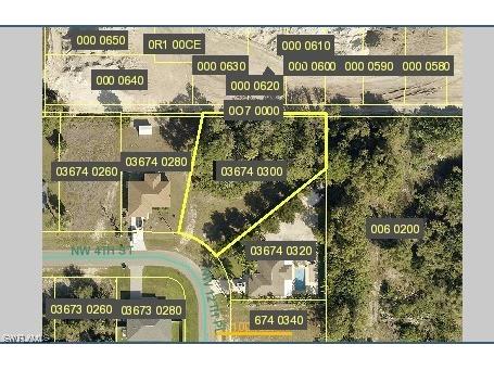 333 NW 12th Place Cape Coral FL 33993 223018074 image1