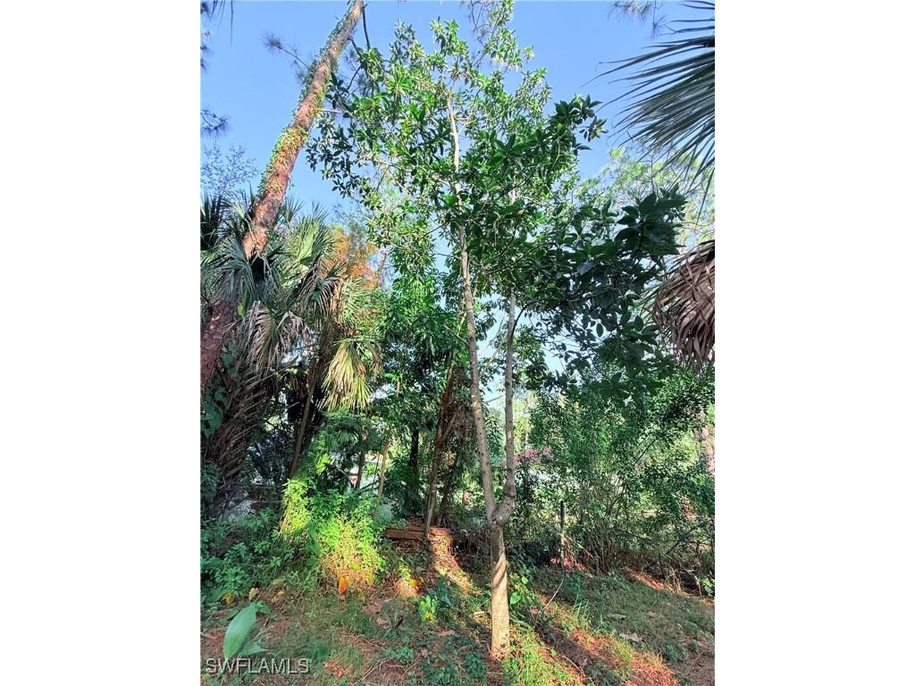 3330 13th Avenue SW Naples FL 34117 225080390 image21